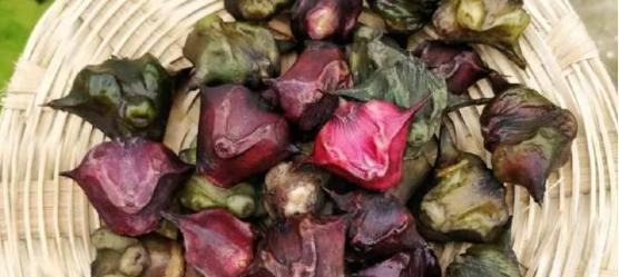 सिंघाड़ा ( Singhara ): सर्दियों का पौष्टिक सुपरफूड | फायदे, तरीके और जरूरी सावधानियाँ